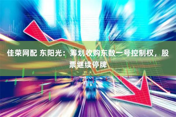 佳荣网配 东阳光：筹划收购东数一号控制权，股票继续停牌
