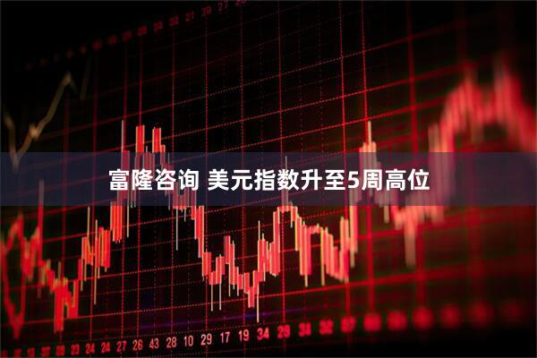 富隆咨询 美元指数升至5周高位