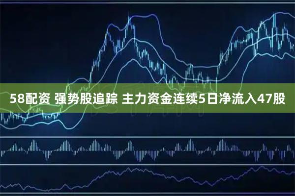 58配资 强势股追踪 主力资金连续5日净流入47股