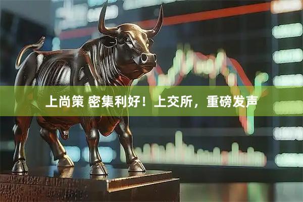 上尚策 密集利好！上交所，重磅发声
