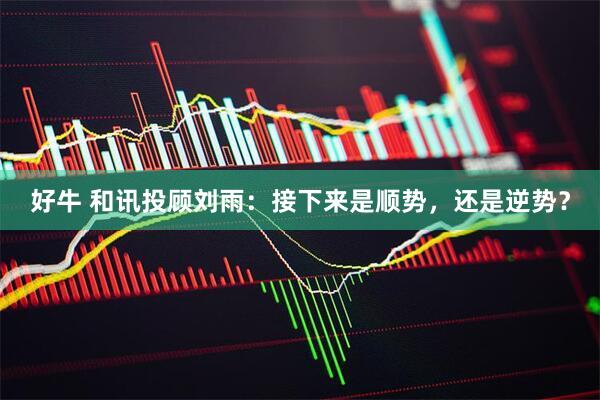 好牛 和讯投顾刘雨：接下来是顺势，还是逆势？