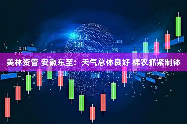 美林资管 安徽东至：天气总体良好 棉农抓紧制钵
