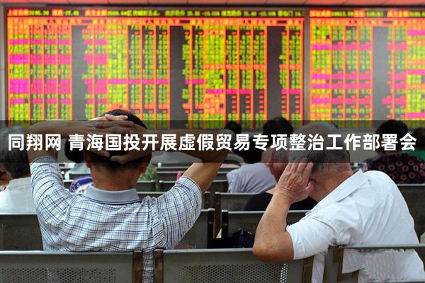 同翔网 青海国投开展虚假贸易专项整治工作部署会