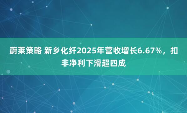 蔚莱策略 新乡化纤2025年营收增长6.67%，扣非净利下滑超四成