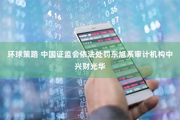 环球策路 中国证监会依法处罚东旭系审计机构中兴财光华