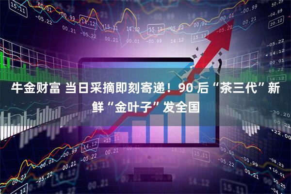 牛金财富 当日采摘即刻寄递！90 后“茶三代”新鲜“金叶子”发全国
