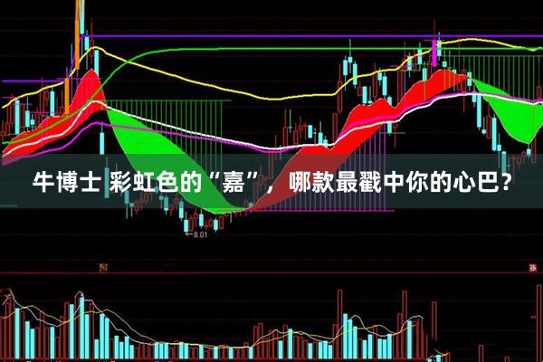 牛博士 彩虹色的“嘉”，哪款最戳中你的心巴？