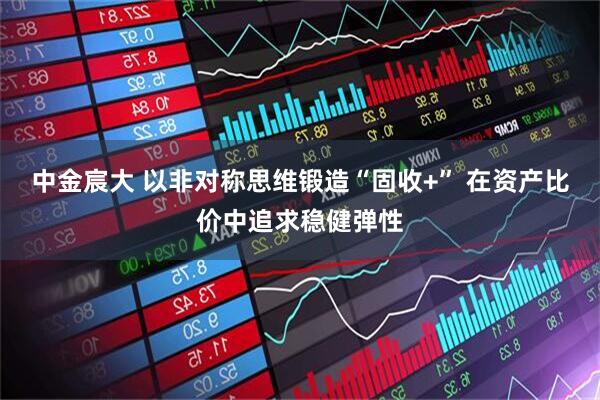 中金宸大 以非对称思维锻造“固收+” 在资产比价中追求稳健弹性