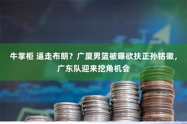 牛掌柜 逼走布朗？广厦男篮被曝欲扶正孙铭徽，广东队迎来挖角机会