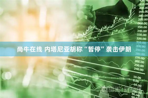 尚牛在线 内塔尼亚胡称“暂停”袭击伊朗
