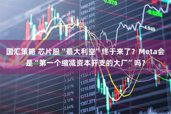 国汇策略 芯片股“最大利空”终于来了?Meta会是“第一个缩减资本开支的大厂”吗?